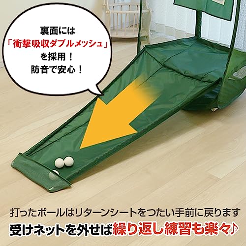 ダイヤゴルフ(DAIYA GOLF) アプローチ練習器具 アプローチ名人 ゴルフ練習ネット ゴルフ練習用品 トレーニング ターゲット ボールが手元に戻る リターン式 初心者 上級者 折りたたみ収納 コンパクト収納 2種類の的付き 室内練習 TR-410 中間 画像