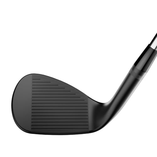 タイトリスト(TITLEIST) Wedge Vokey SM10ジェットブラックDG S200 5212F 最後 画像