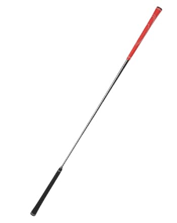 広田ゴルフ ロジャーキング パワーヒッター2 スティック (メンズスチール) 画像1